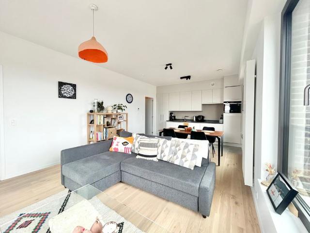 1000, Bruxelles