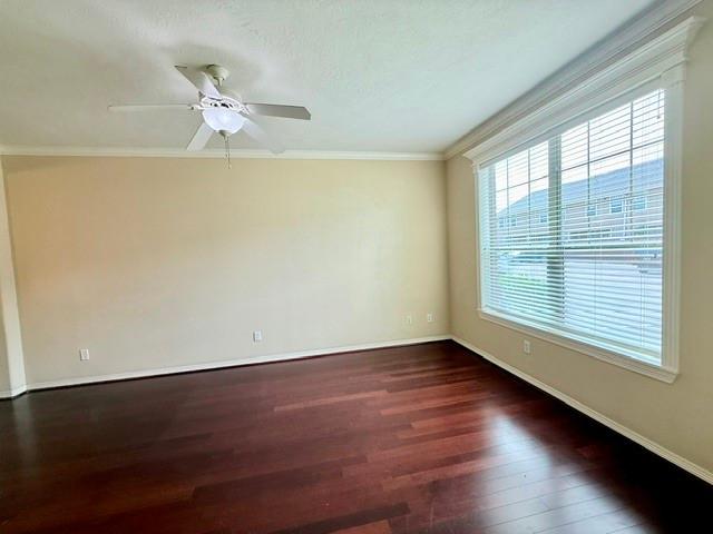 1000 Spring Loop 1806