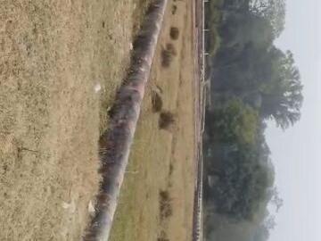 Lucknow, Lucknow District, UttarPradesh