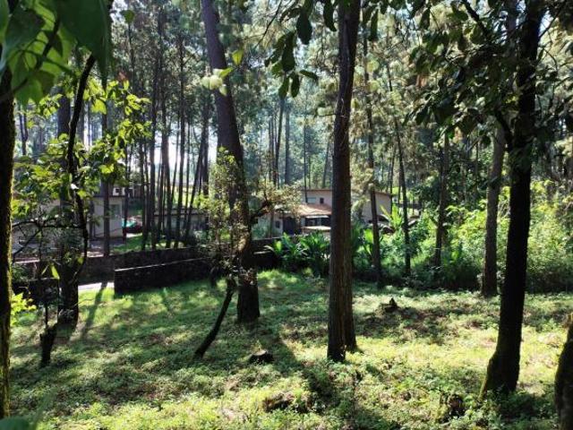 1000m de Terreno en Cerro Gordo, Avándaro, zona residencial