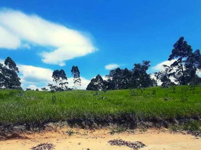 1000m² para chácara em São Roque – Restam Poucas Unidades