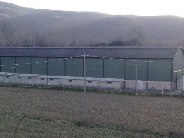 1000mq