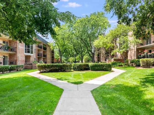1001 N Mill Street # 307