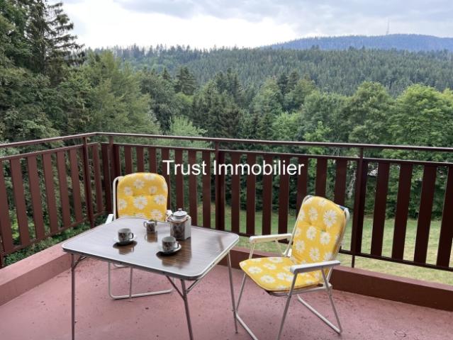 1001. Charmantes Studio mit schöner Aussicht in St Cergue
