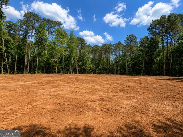 10020 Jefferson River Road