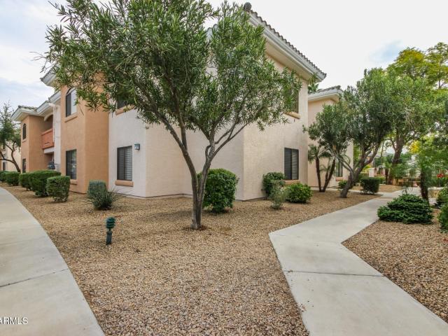 10030 w indian school road # 111