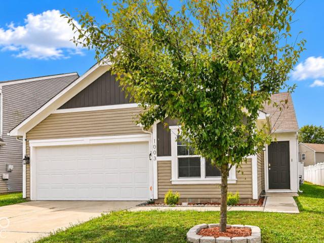 1003 Belvedere Drive