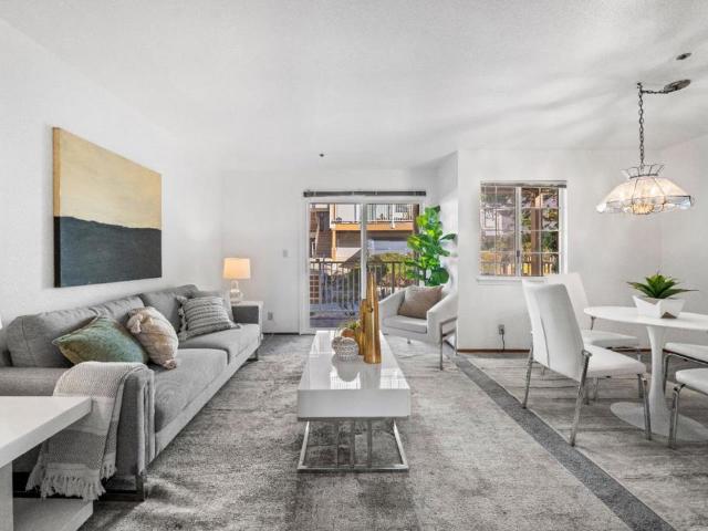 1003 San Antonio Circle 202