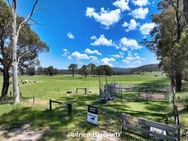 100 Acre Rural allotment