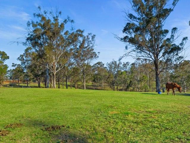 100 Acre Rural Gem