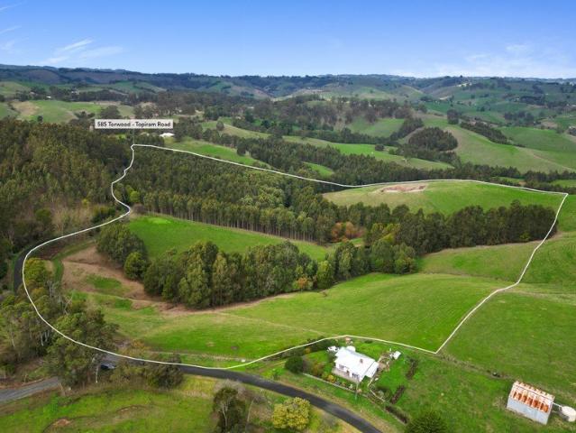 100 acres Grazing + Timber