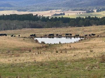 100 Acres of Countryside Charm Perfect Weekender or Hobby Farm