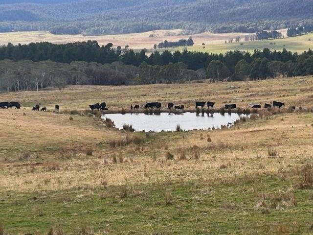100 Acres of Countryside Charm Perfect Weekender or Hobby Farm