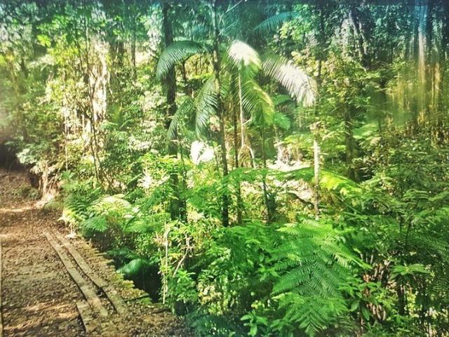 100 Acres of Bushland & Rainforest Permanent Water