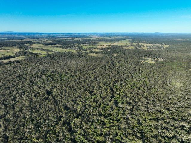 100 Acres of Natural Bushland Just Minutes from Casino