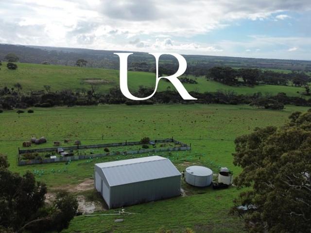 100 Acres of Peace, Privacy & Possibility in Cassini