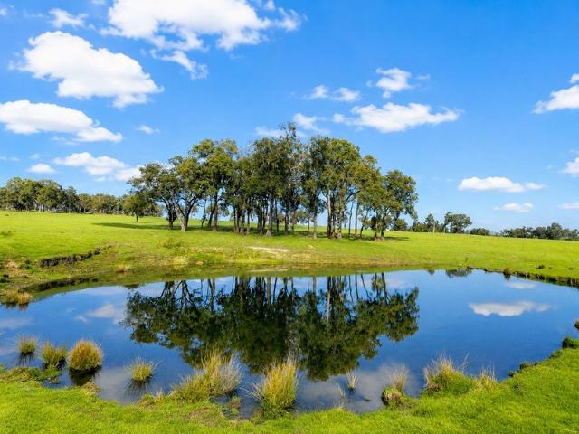 100 Acres of Rural Paradise