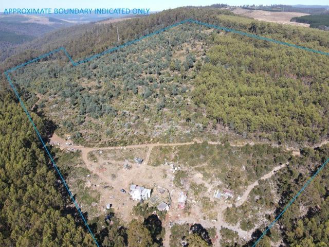 100 Acres of Untouched Derwent Valley Wilderness Your Private Off Grid Escape