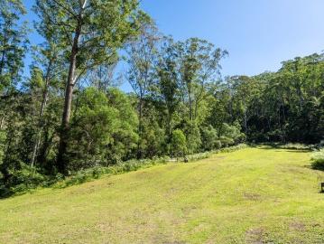 100 Acres of Untouched Wilderness