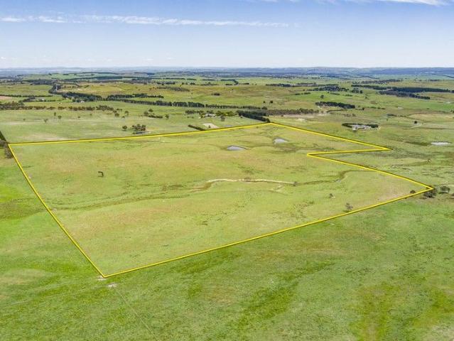 100 Acres Ready For A House!