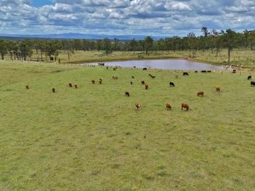 Laidley Heights, Lockyer Valley Regional, Queensland