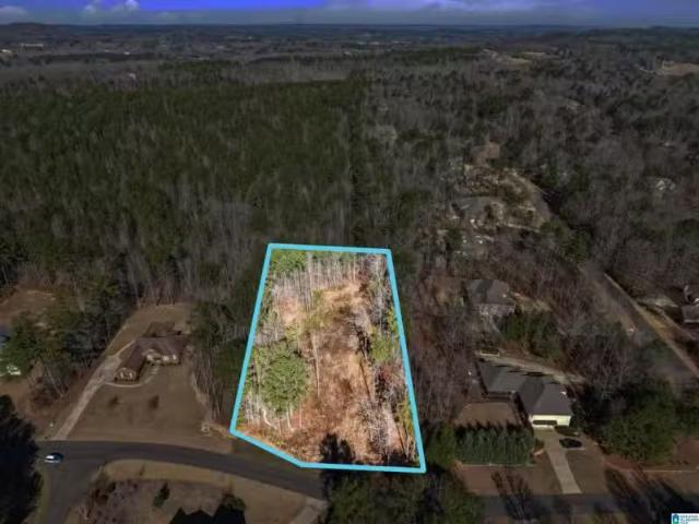 100 GRACE WAY # 1, ODENVILLE, AL 35120
