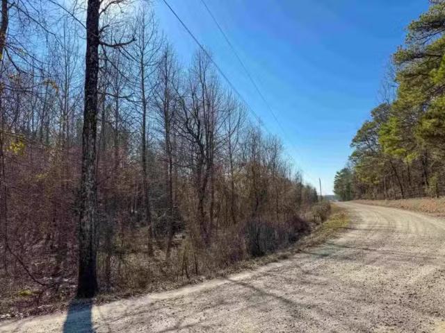 100 GUY LN, QUITMAN, AR 72131