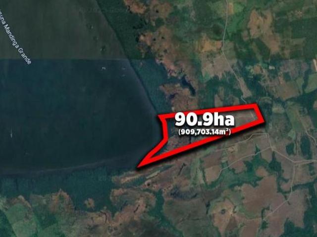 100 HECTÁREAS EN VENTA FRENTE A LAGUNA MANDINGA VERACRUZ | ARLETTE FLORES