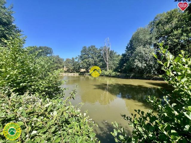 100% ISOLÉE AVEC ETANG