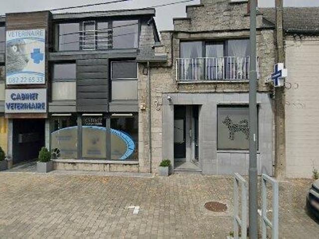 100 m2 apartment for rent in Onhaye