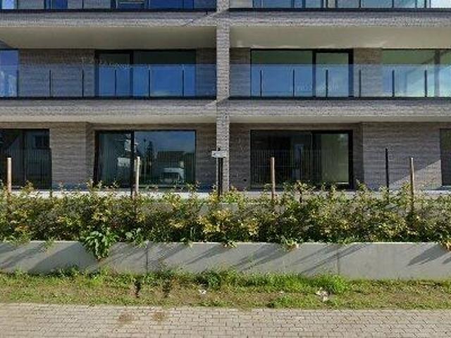 100 m2 apartment for rent in Zottegem