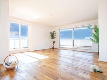 100 m² PENTHOUSE *UNBEFRISTET*Schwechat 3 Zimmer Penthouse mit 54 m² großer südseitiger Terrasse