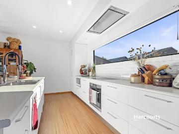 Penguin, Central Coast, Tasmania, Walker Island, Cloudy Bay, Kingborough, Tasmania Island