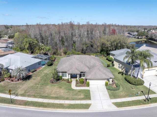 1014 Arlinbrook Dr, Trinity, FL