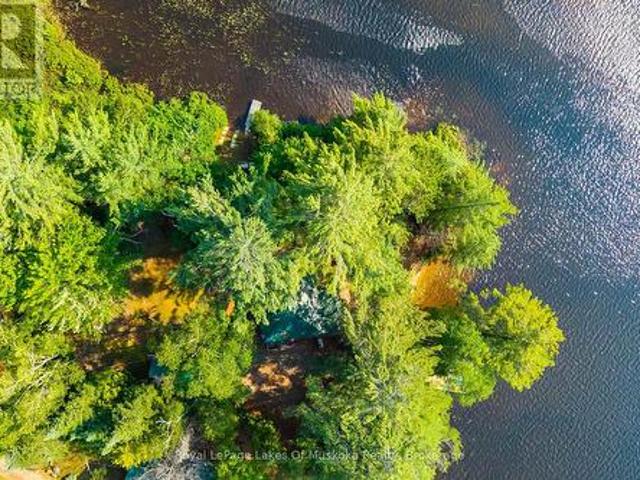 1015 Goodlife Lane, Algonquin Highlands Sherborne, ON, P0A 1E0 house for sale | Listing ID X13599 | Royal LePage
