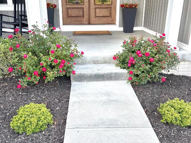 1015 Redbud Rd, Winchester, VA 22603 | MLS #VAFV2040