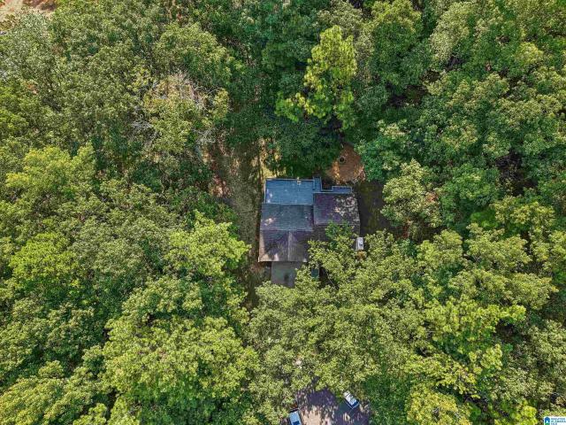 1017 Burnt Pine Lane