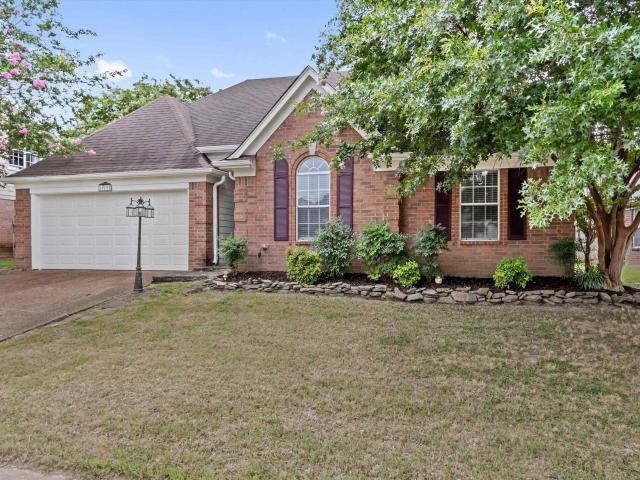 10197 s green moss dr
