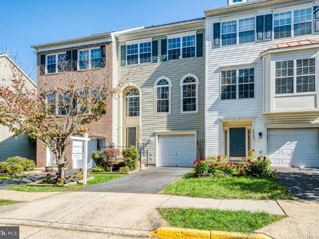 10106 Pale Rose Loop