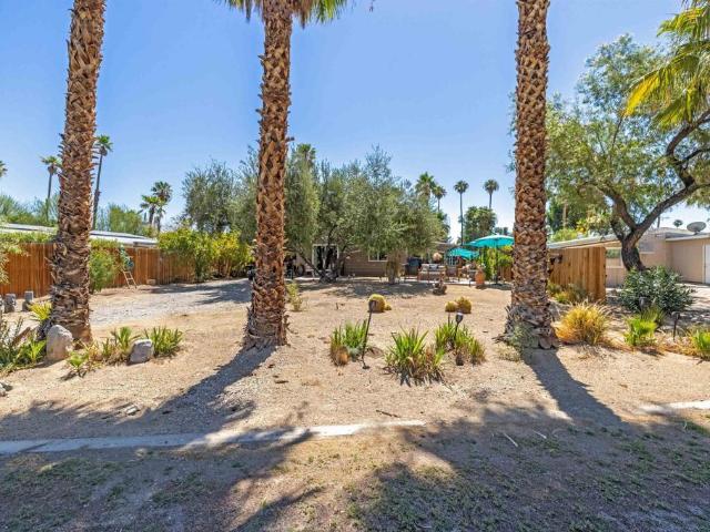 1010 Palm Canyon Dr #294