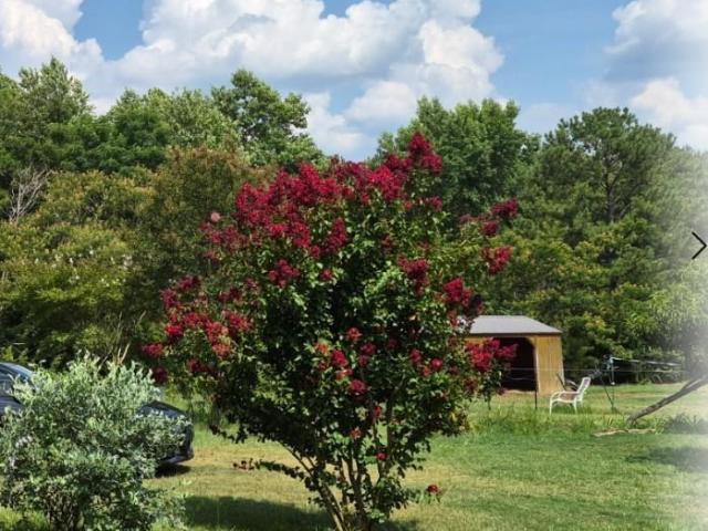 1011 Sweet Raspberry Lane