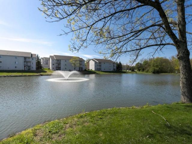 10136 Carnation Court # 10