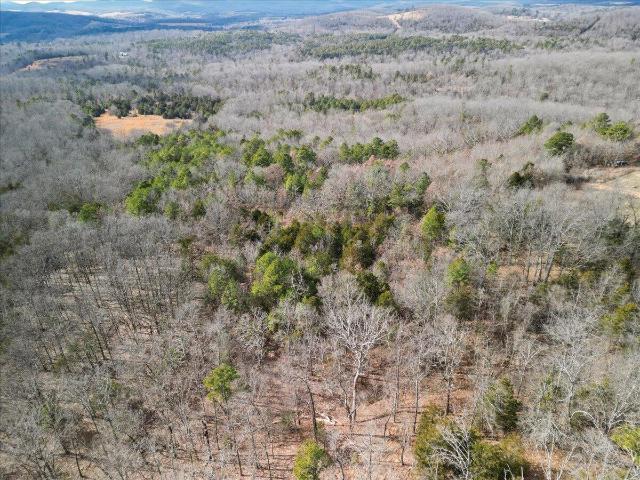 10139 State Highway Ff