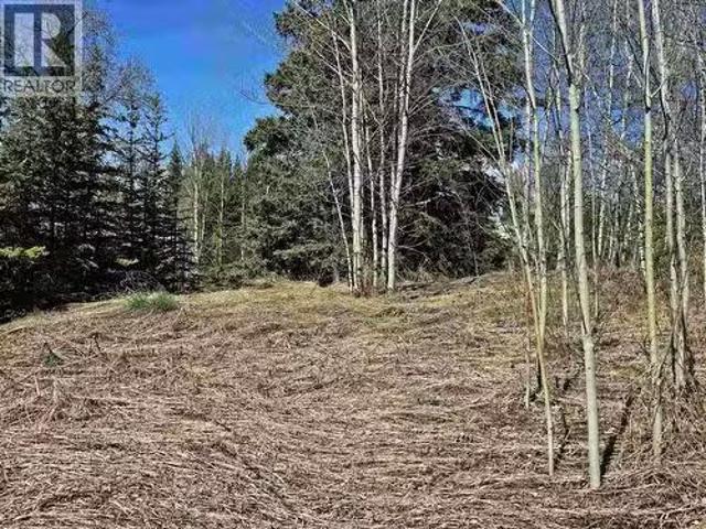 101 5Th Avenue, Burns Lake, BC, V0J 1E0 vacant land for sale.