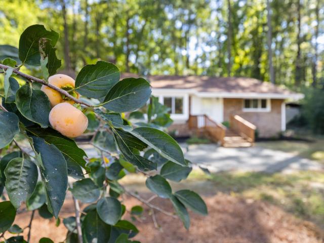 101 Oleander Road