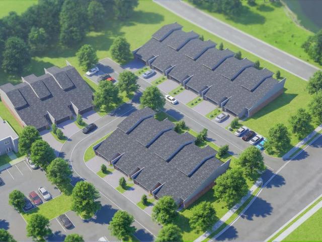 101 Lily Pad Lane