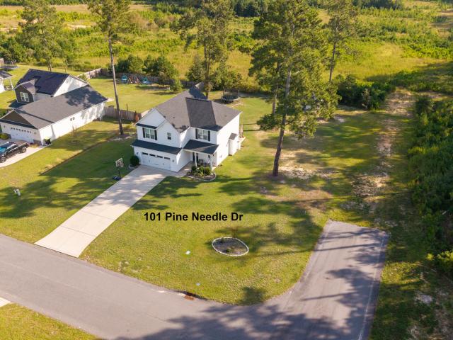 101 Pine Needle Drive