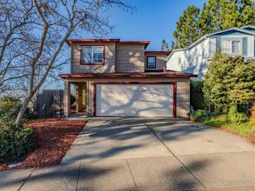 101 Terrace View Cir, Jackson, CA 95642 | MLS #225153