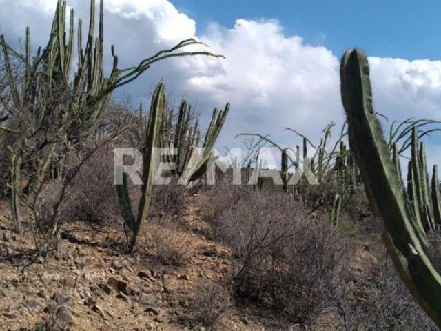 #101 TERRENO VENTA EN TOLIMÁN, QRO