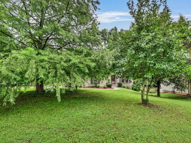 101 Vannoak Dr